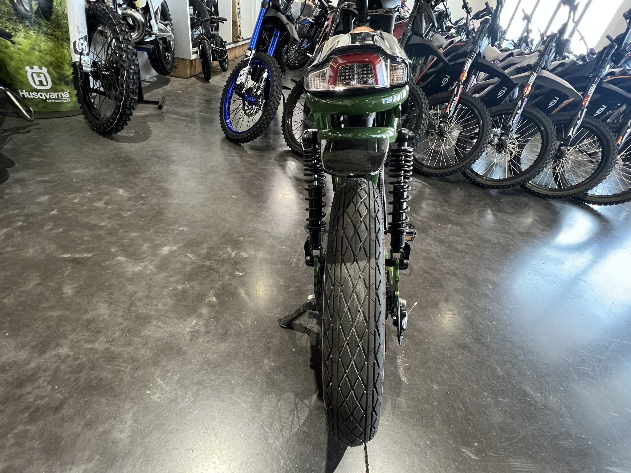 Golden Cycles Panthro - Green - Image 8