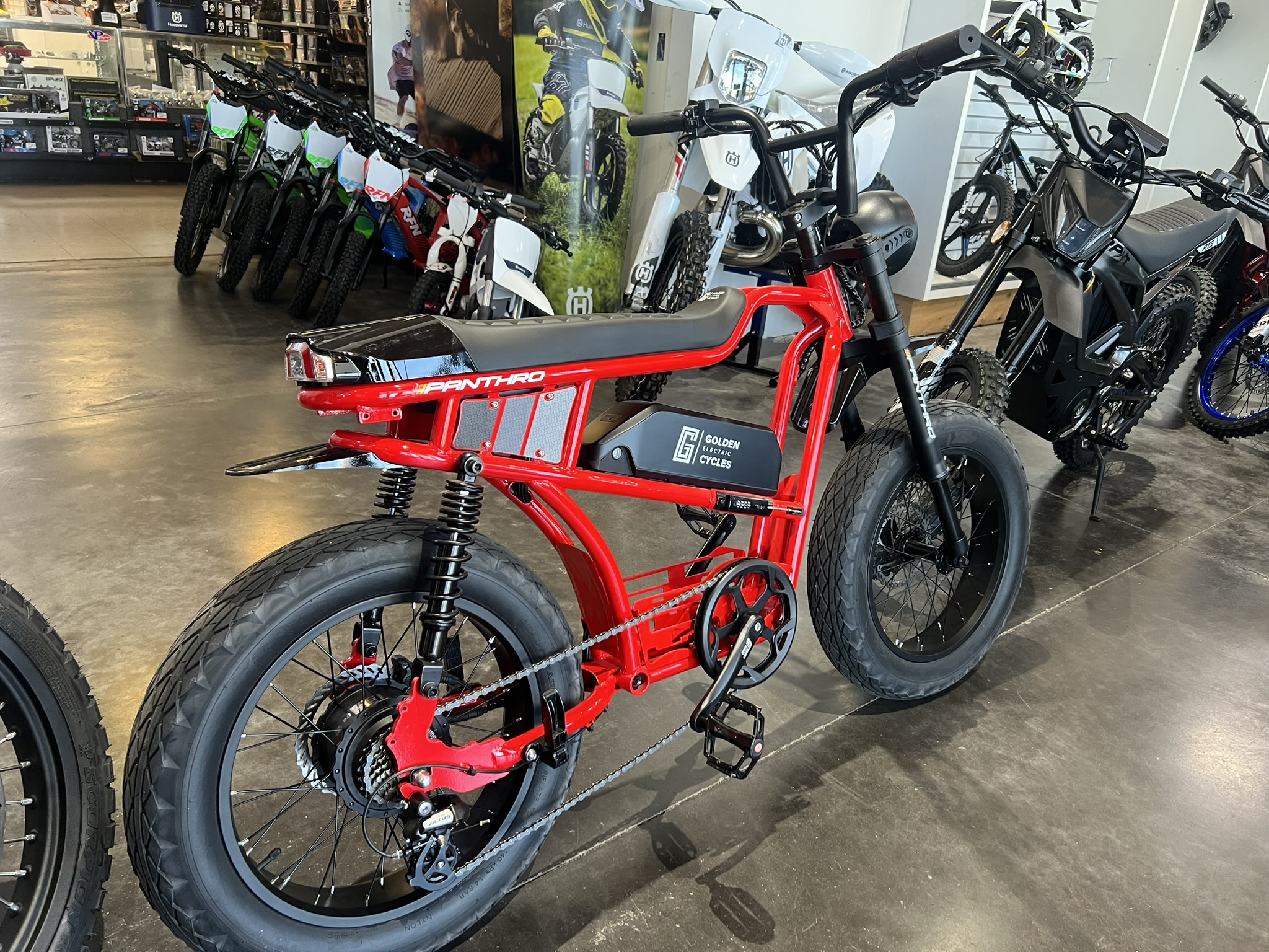 Panthro E-Bike red back side profile