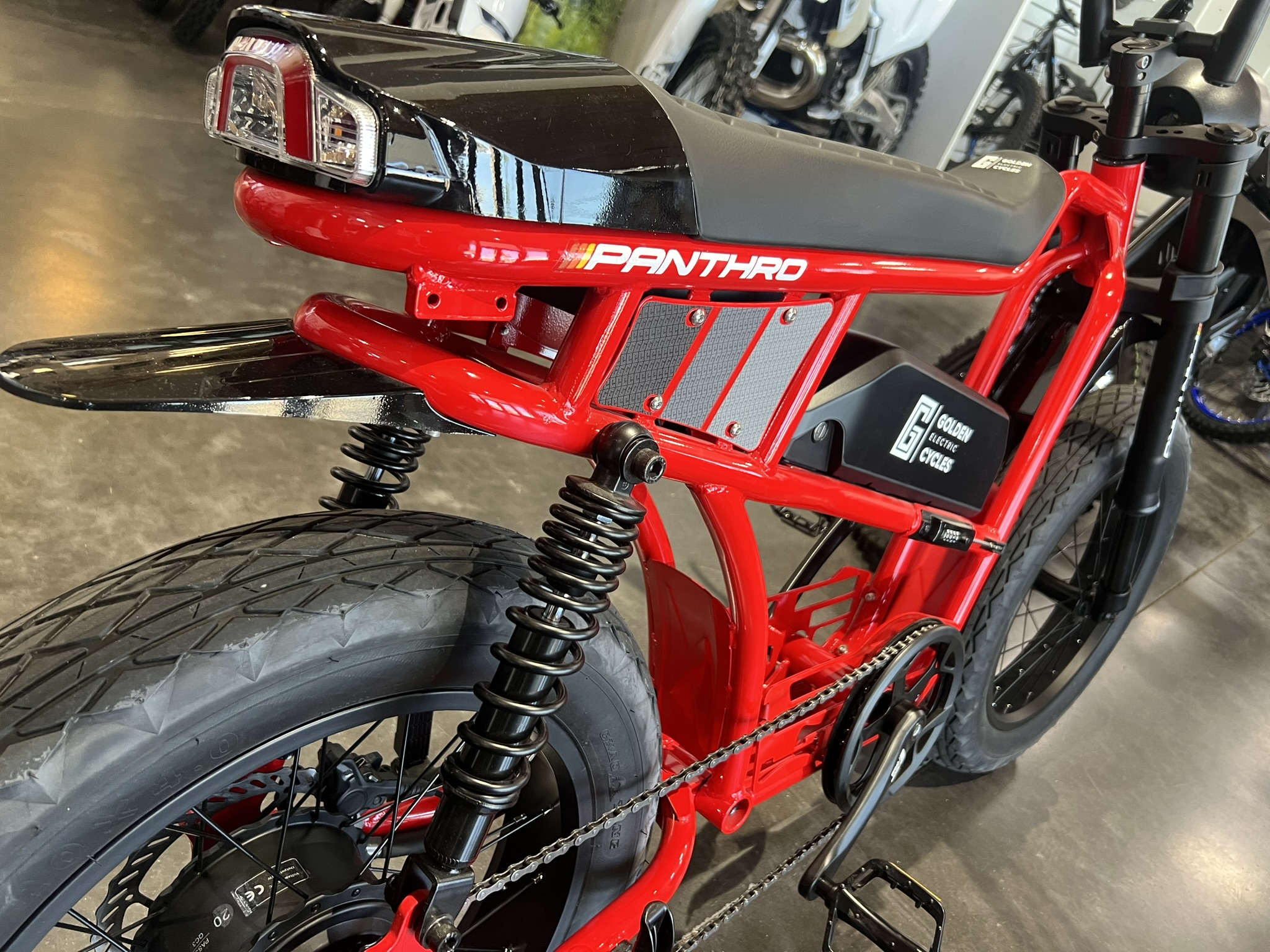 Panthro E-Bike red rear end