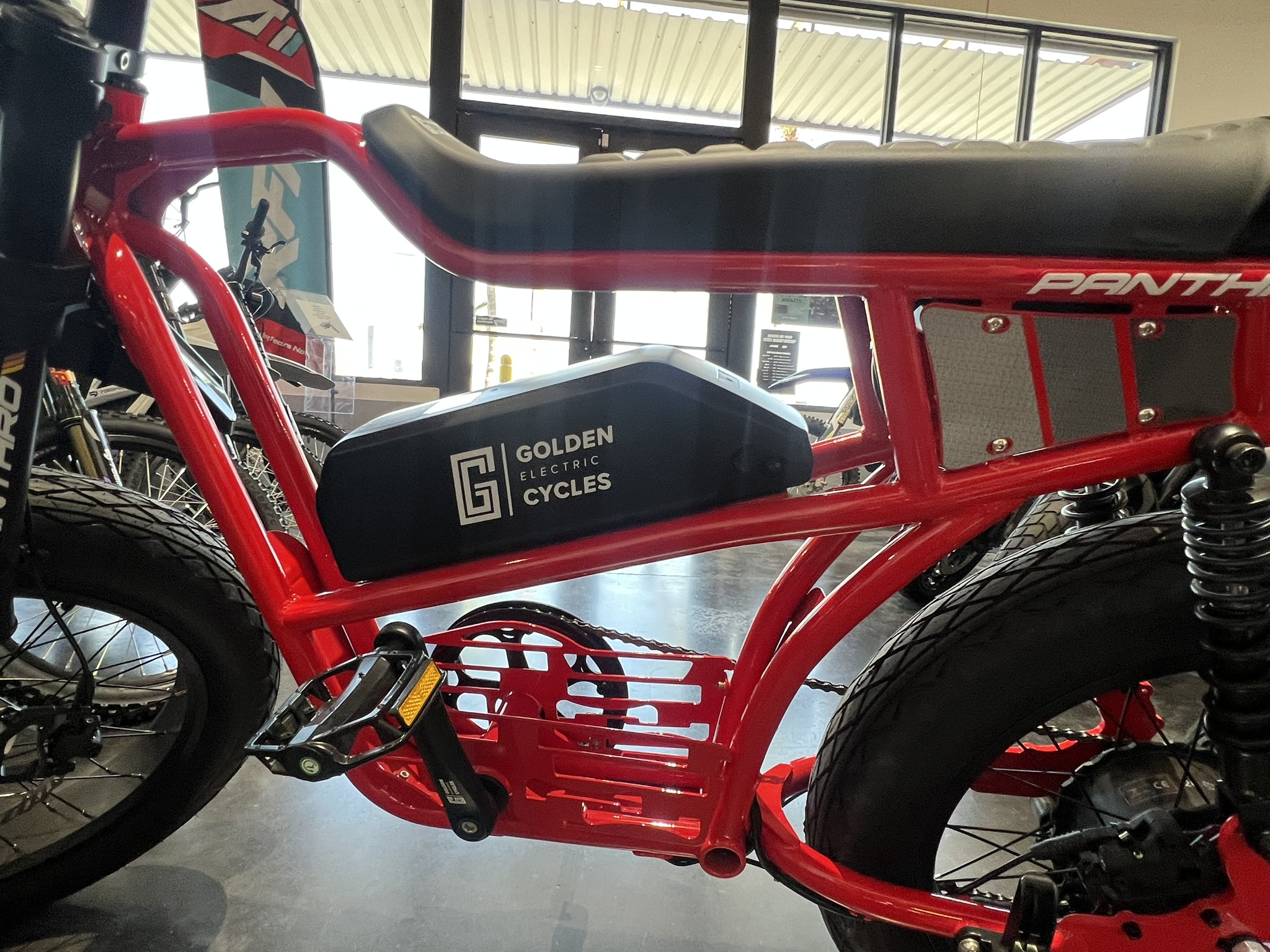 Panthro E-Bike red left side frame