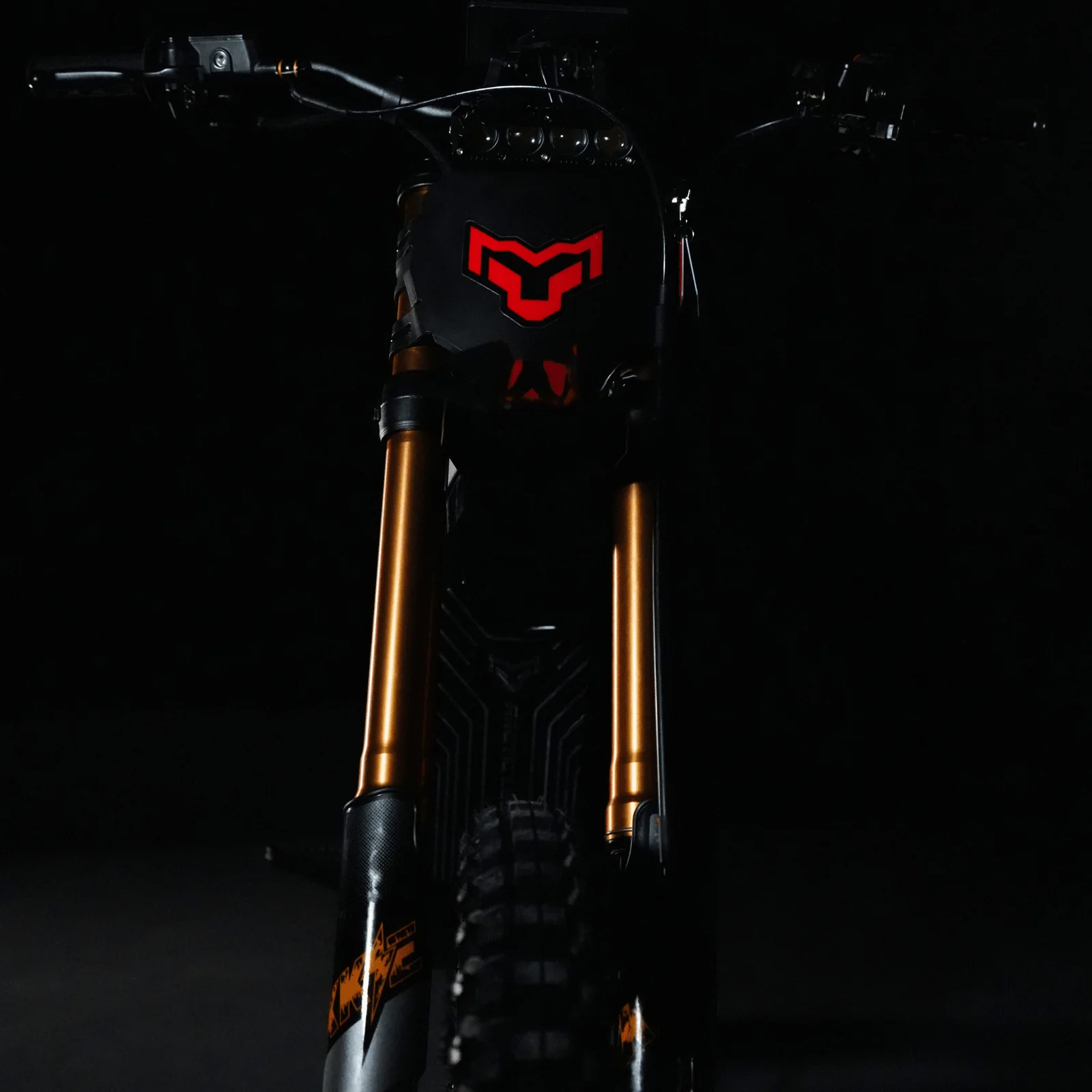 Arctic Leopard XF - Image 20