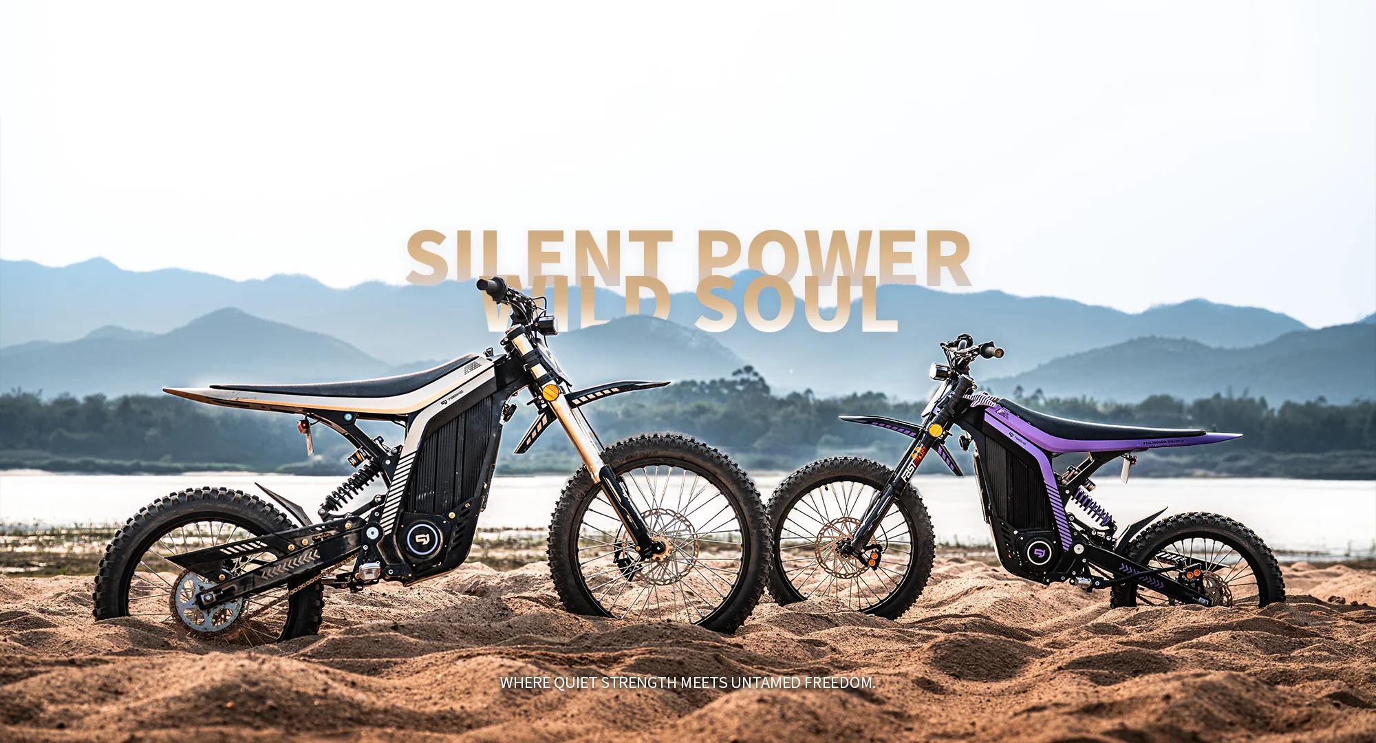 79Bike Lynx Gold & Black and Purple & Black electric dirt bikes