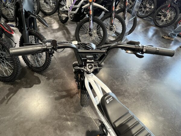 Panthro E-Bike -White - Image 9