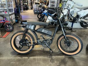 Panthro E-Bike -Black