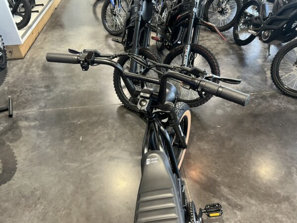 Panthro E-Bike -Black - Image 5